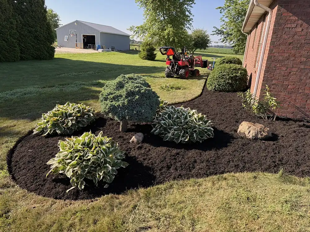 Landscaping Project